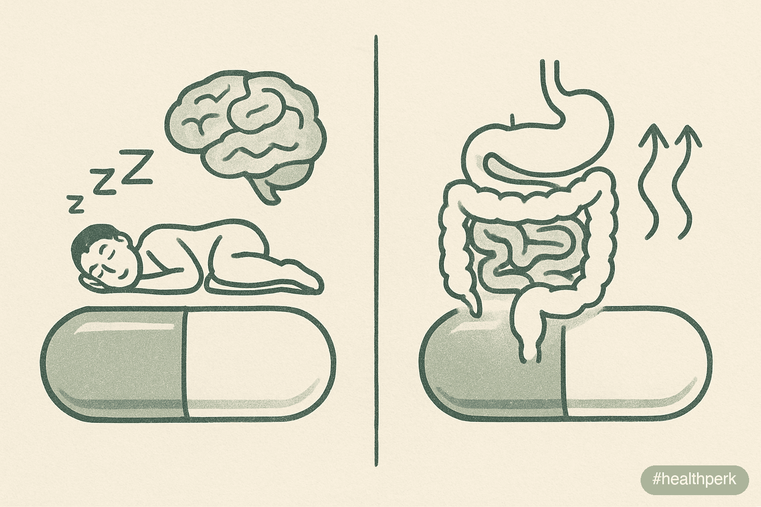 Illustration comparing two side-by-side panels — one labeled "Magnesium Glycinate" with a sleeping figure icon, the other labeled "Magnesium Citrate" with a digestive-system icon — illustrating magnes