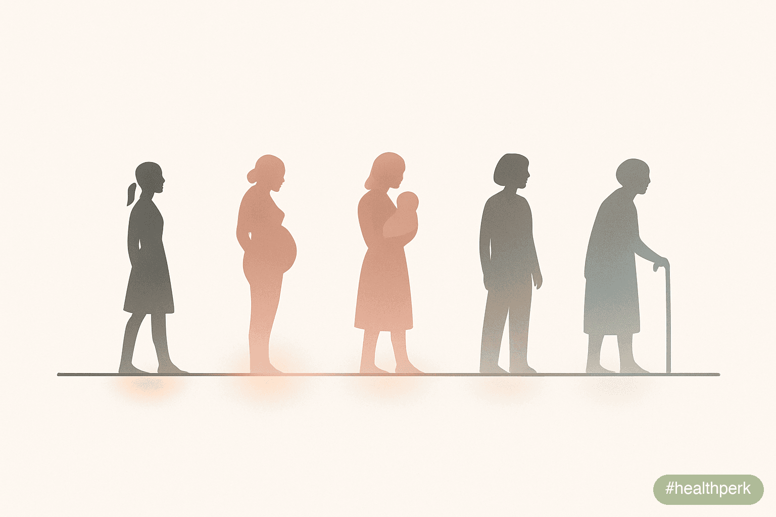 Illustration of a timeline with cycle, pregnancy, postpartum, perimenopause, and menopause stages, with weight-gain risk levels and hormonal changes annotated — illustrating hormonal weight gain women