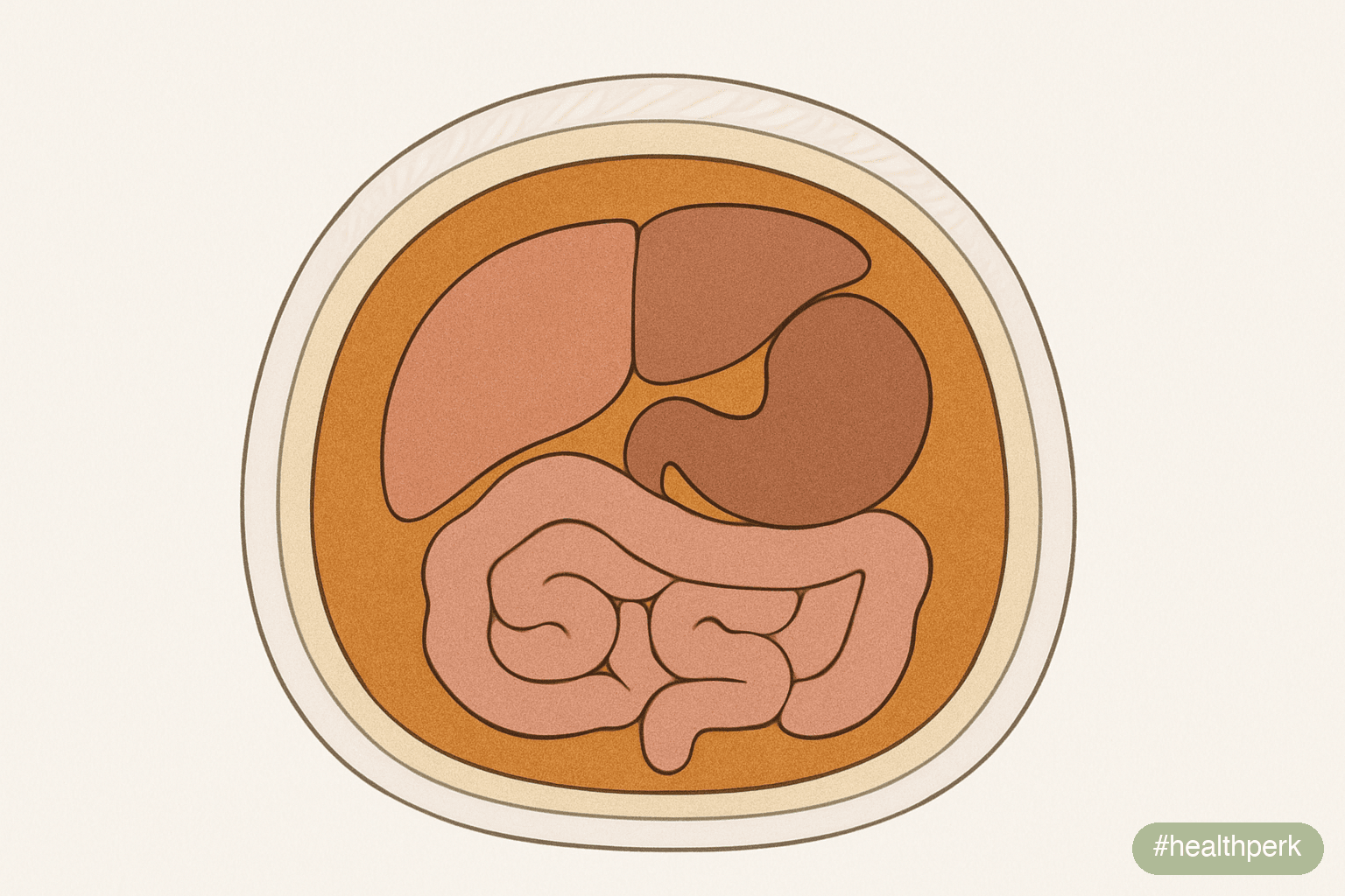 Illustration of an abdominal cross-section showing visceral fat around organs versus subcutaneous fat under the skin — captioned to show how to lose belly fat naturally by targeting both depots throug