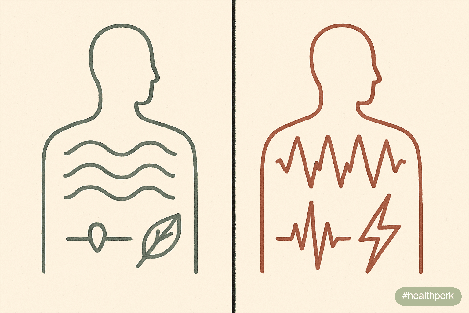 nervous system diagram